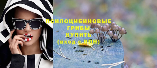 дмт Бугульма