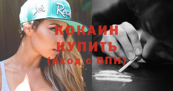 не бодяженный Бородино