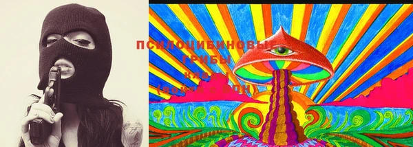 дмт Бугульма