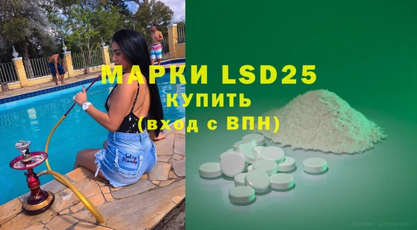 бошки Бронницы
