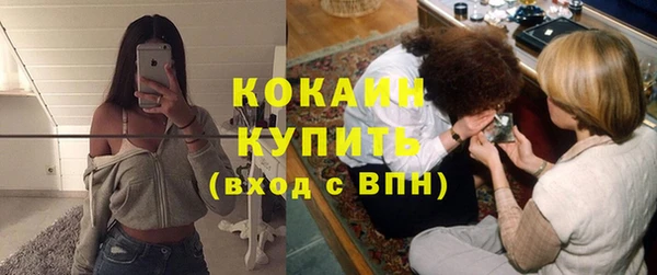 не бодяженный Бородино