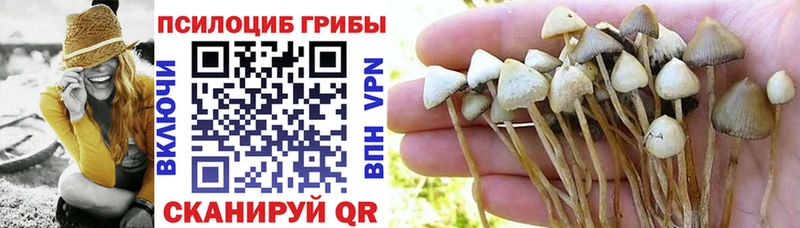 Псилоцибиновые грибы мухоморы  MEGA как зайти  Трёхгорный 