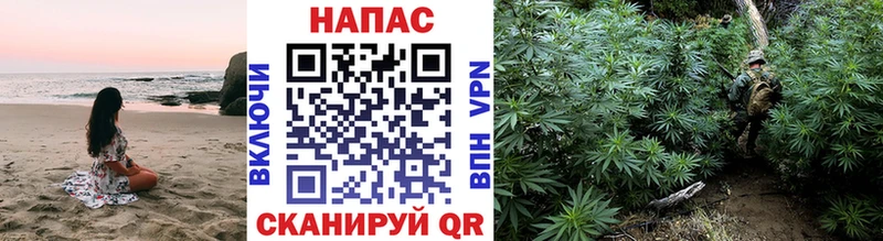 Конопля гибрид  гидра онион  Трёхгорный 